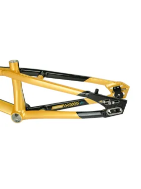 Stay Strong V5.1 BMX Race Frame Black/Gold