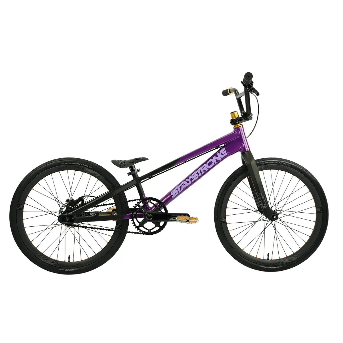 Stay Strong For Life V5 Custom Bike 2025