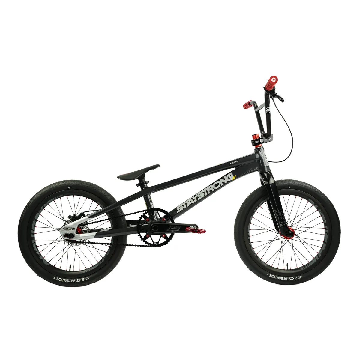Stay Strong For Life V5.1 Custom Bike 2026